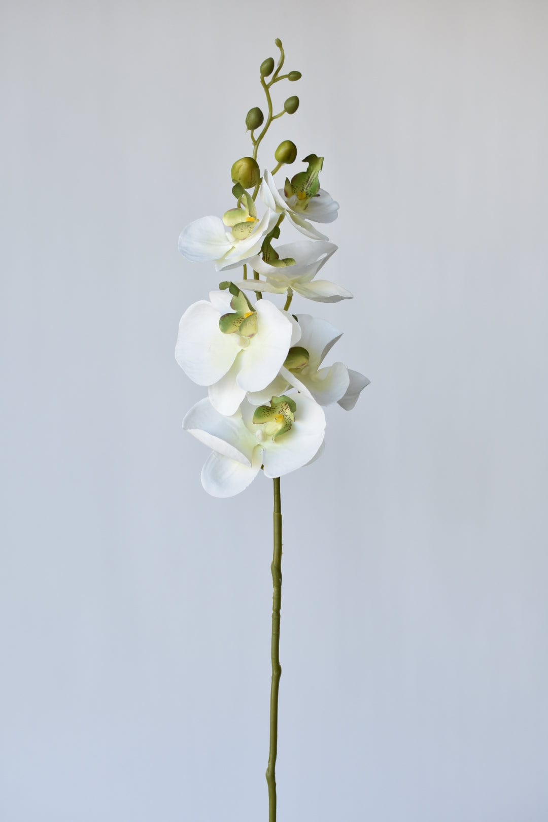 33" Faux White Phalaenopsis Orchid Stem