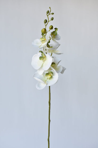 33" Faux White Phalaenopsis Orchid Stem