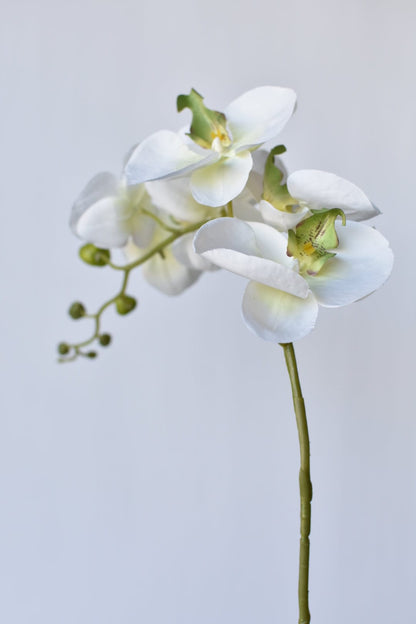 33" Faux White Phalaenopsis Orchid Stem