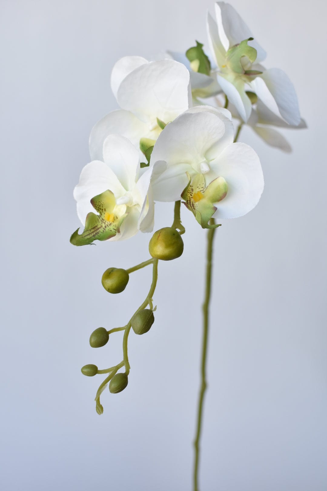 33" Faux White Phalaenopsis Orchid Stem