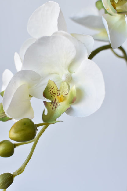 33" Faux White Phalaenopsis Orchid Stem