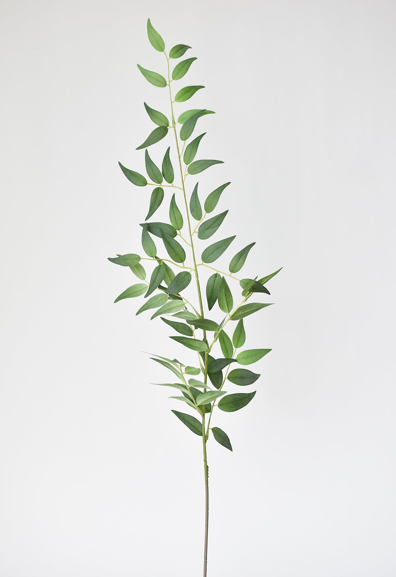36" Faux Italian Ruscus Stem