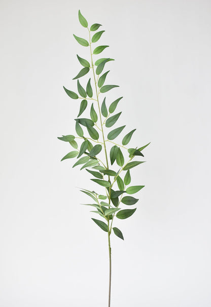 36" Faux Italian Ruscus Stem