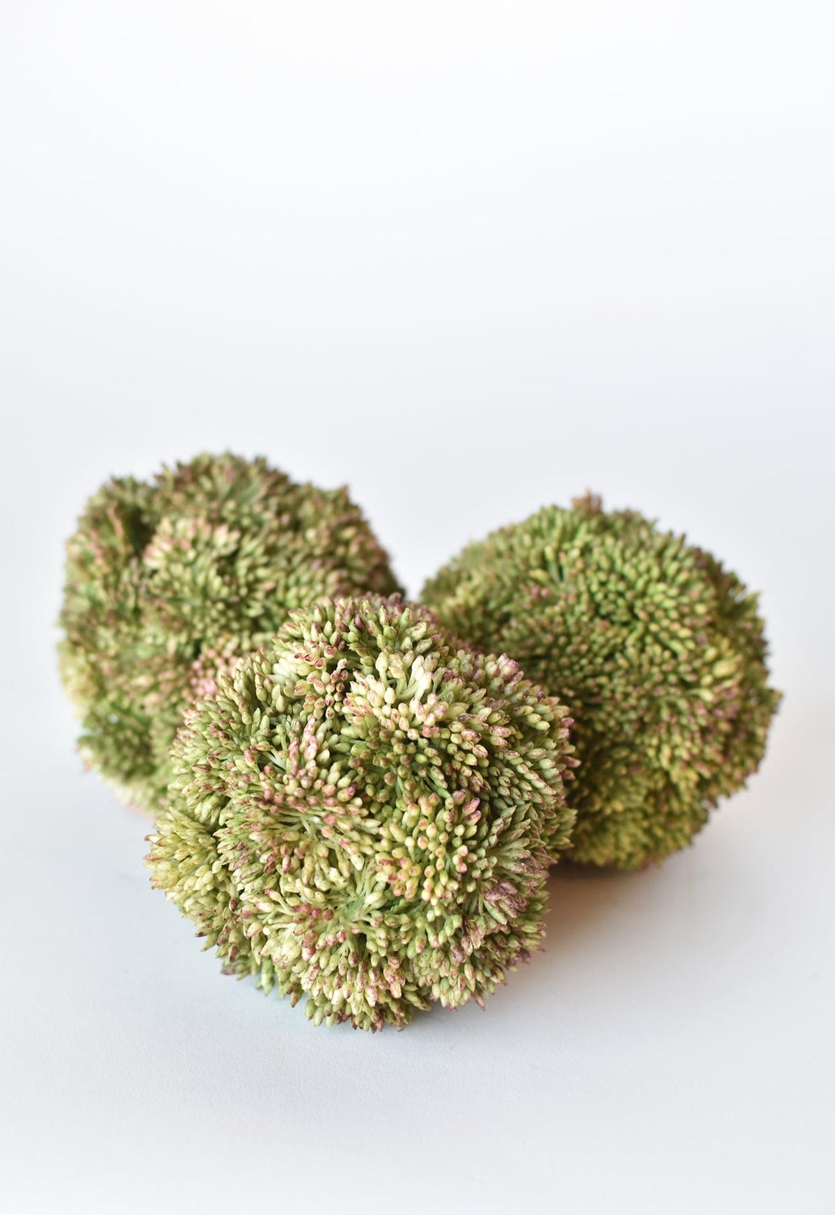 4" Faux Green Sedum Ball