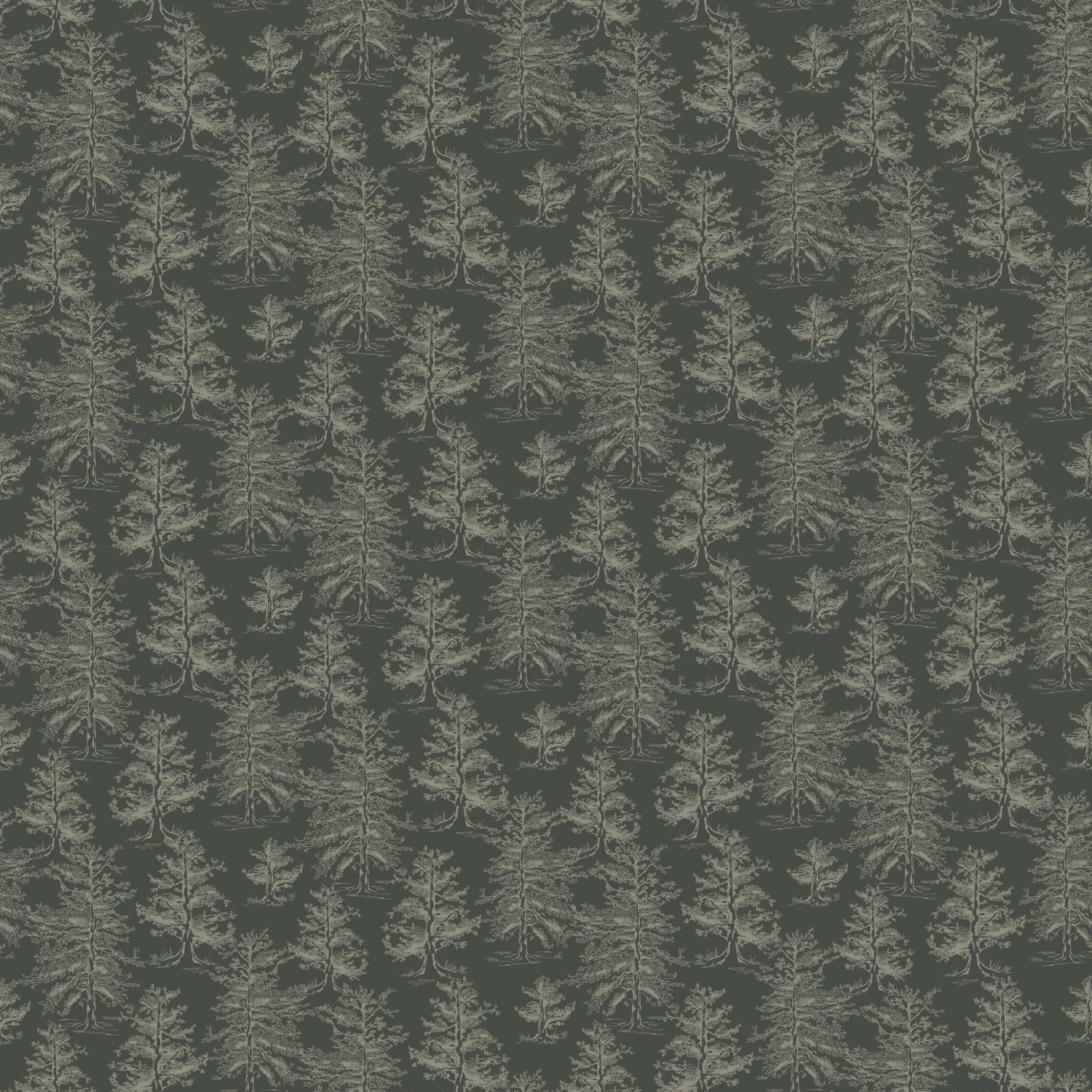 Dakota Wallpaper by Aubrey Fairchild