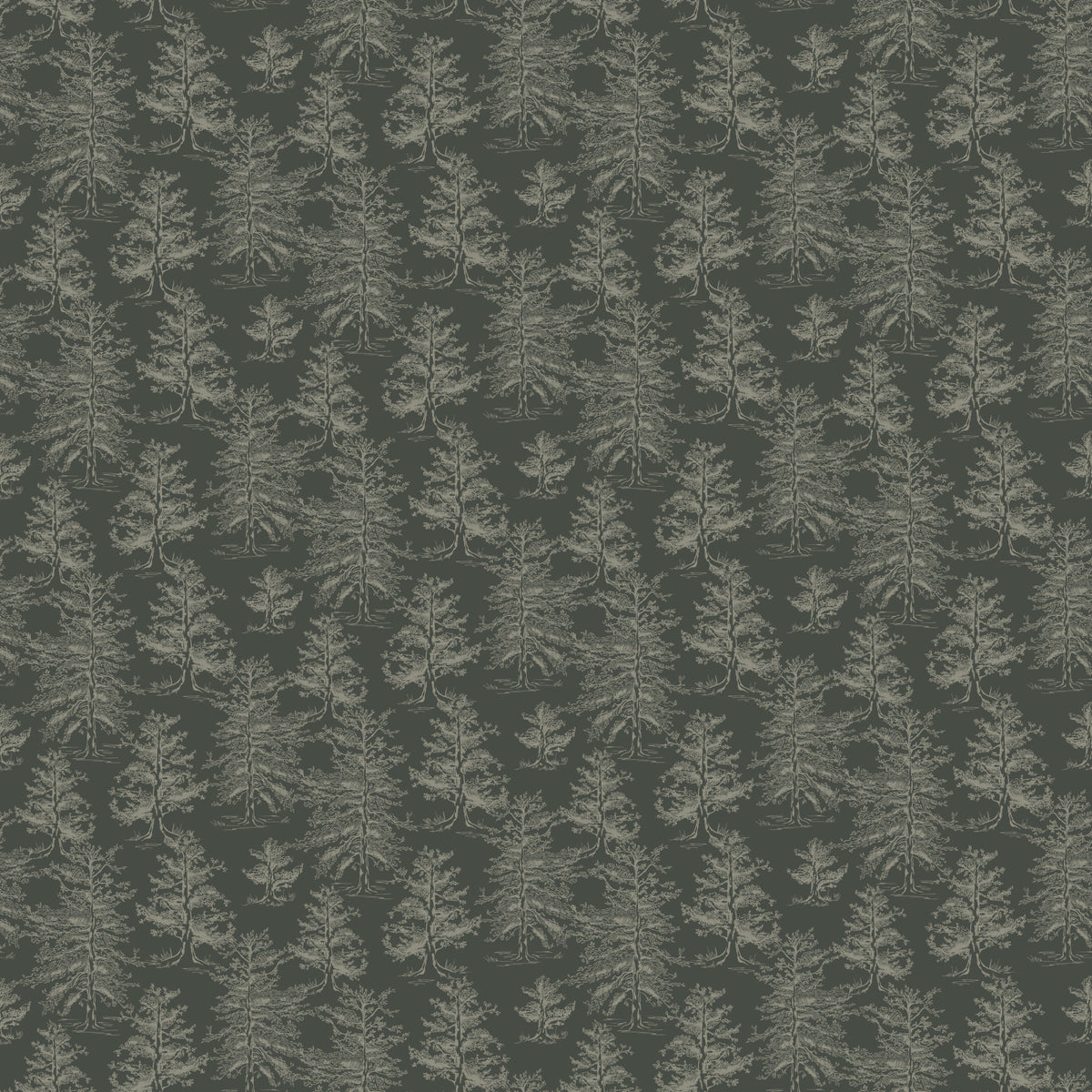 Dakota Wallpaper by Aubrey Fairchild