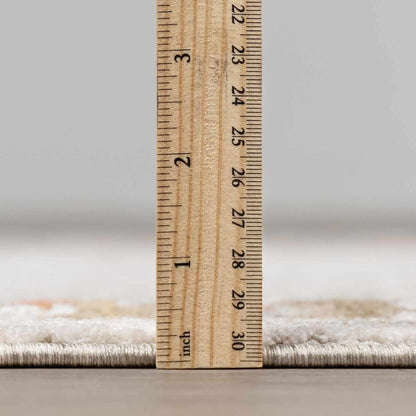 Elloree Traditional Thick Luxe Statement Rug - Clearance
