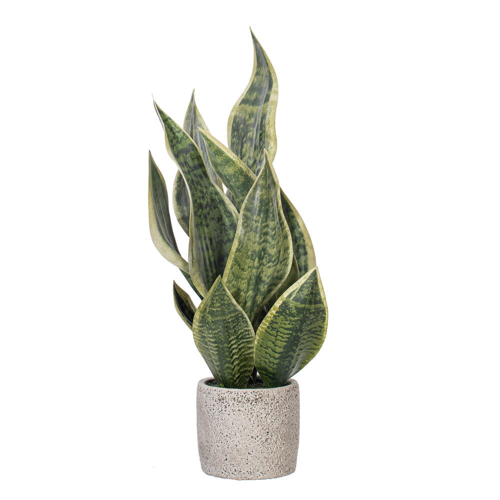 18" Artificial Light Green Snake Plant