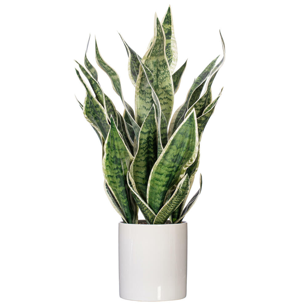 25" Artificial Light Green Snake Plant