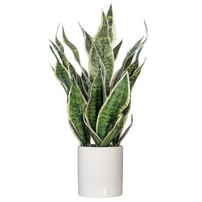 25" Artificial Light Green Snake Plant