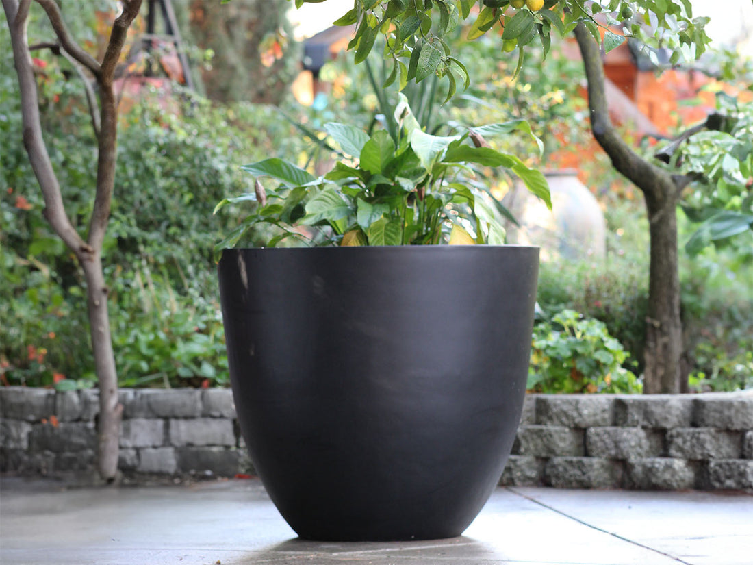Deep Bowl Planter By Plantatorem