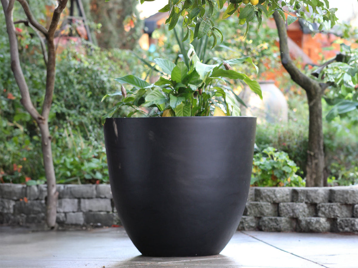 Deep Bowl Planter By Plantatorem