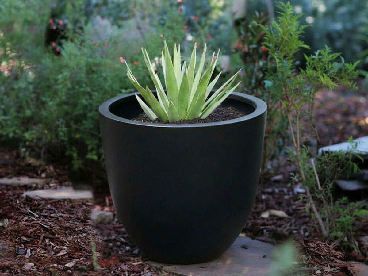 Deep Bowl Planter By Plantatorem