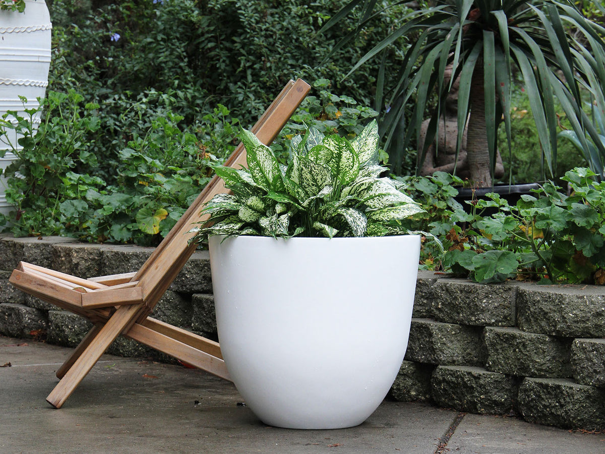 Deep Bowl Planter By Plantatorem
