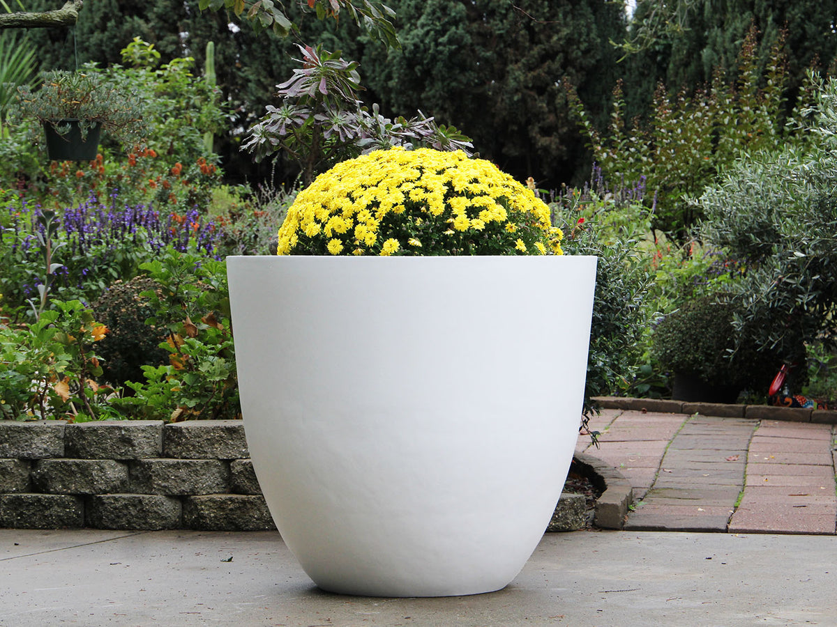 Deep Bowl Planter By Plantatorem