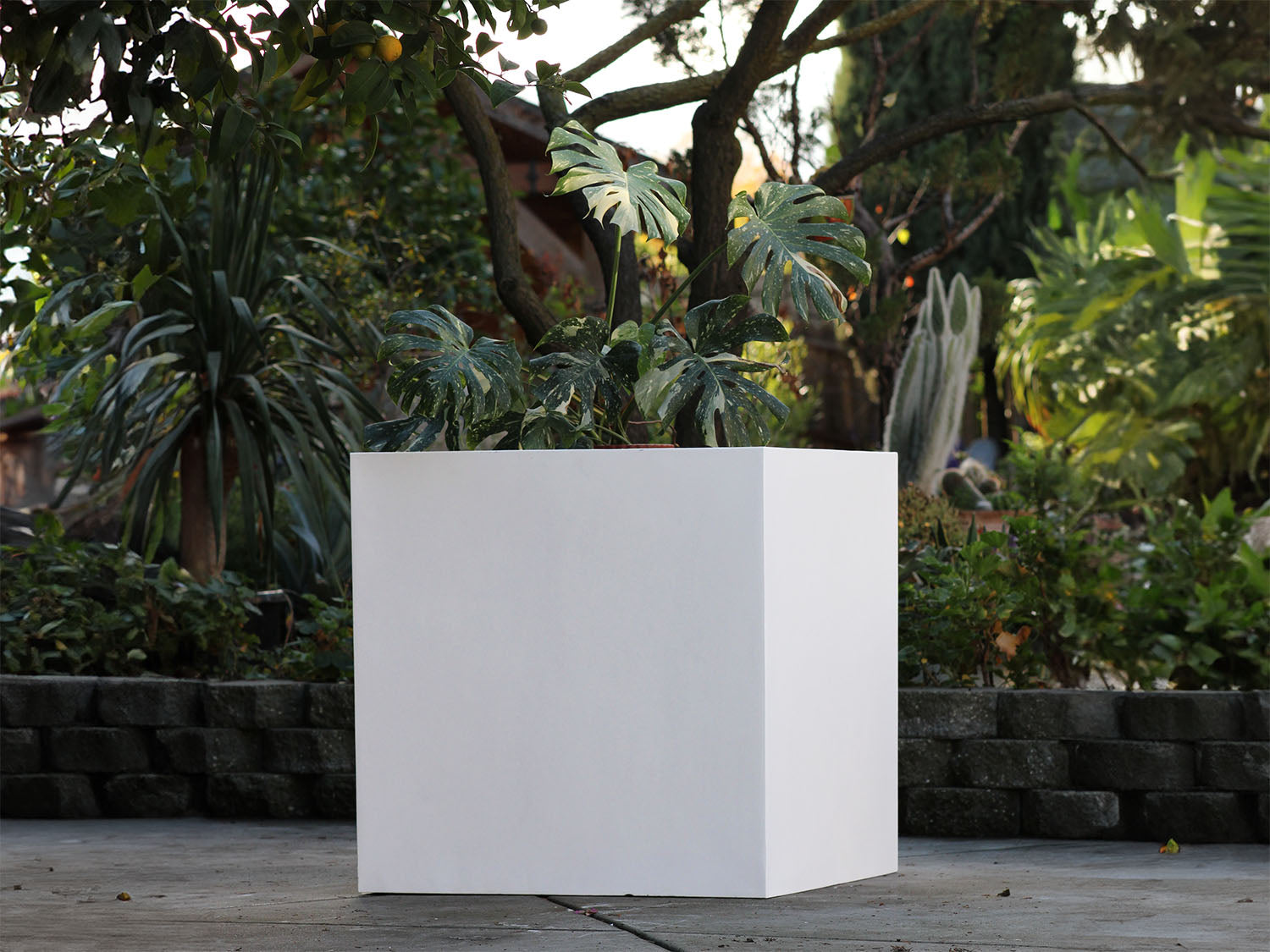 Cube Planter 12.0" - 35.5" By Plantatorem