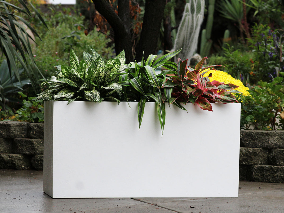 Rectangular Box Planter 47" By Plantatorem