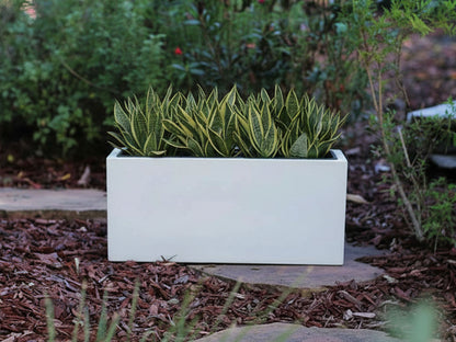 Rectangular Box Planter 59" By Plantatorem