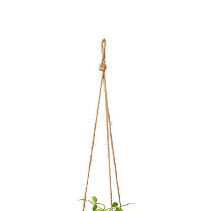 29" Artificial Green Mini Leaf Ivy in Hanging Pot