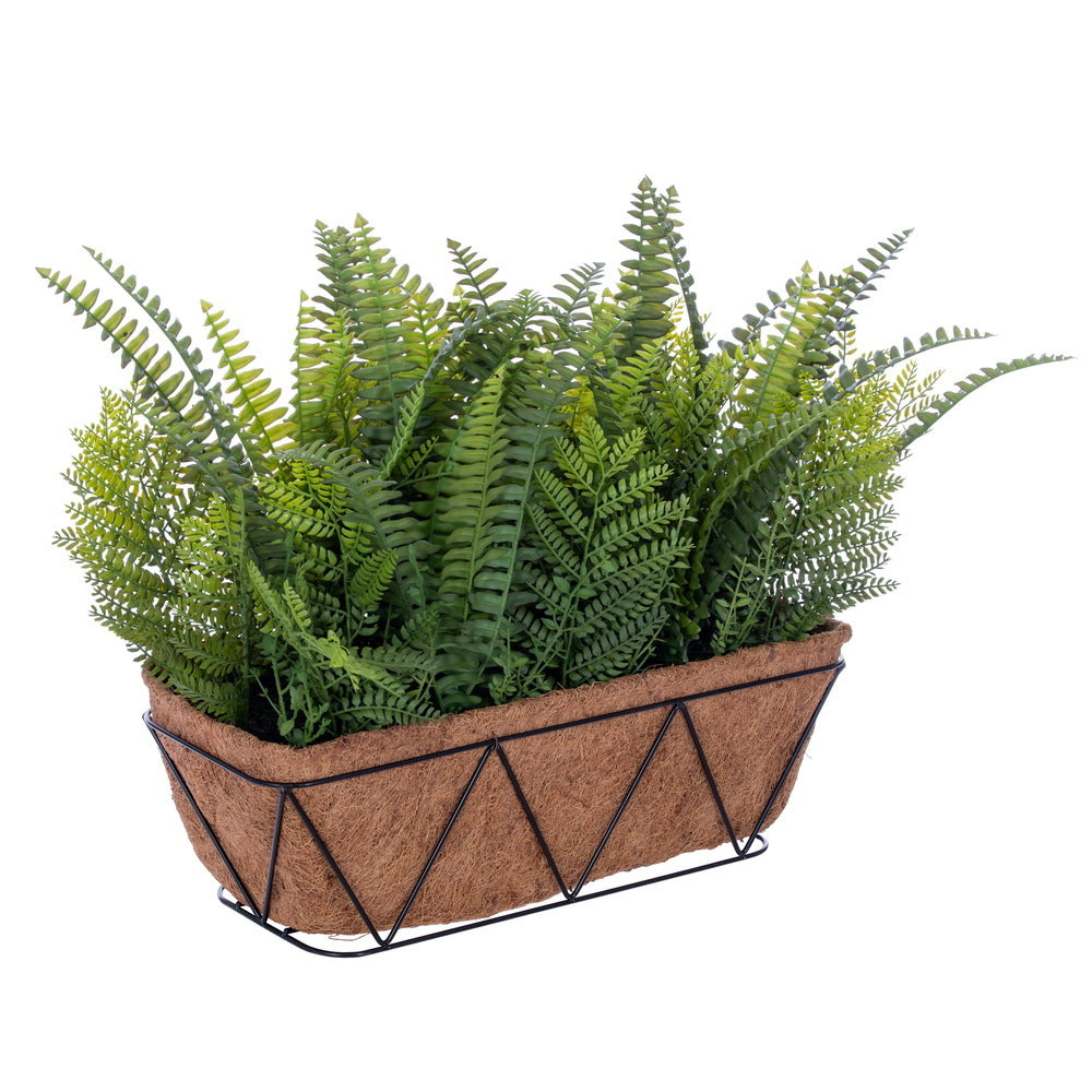 24" Fern Bush in Basket UV
