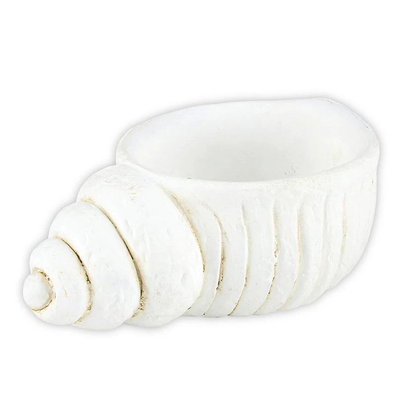 Concha Decor