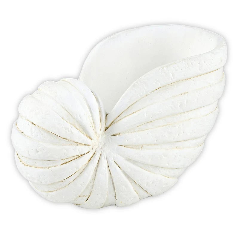 Nautilus Decor