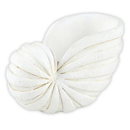 Nautilus Decor