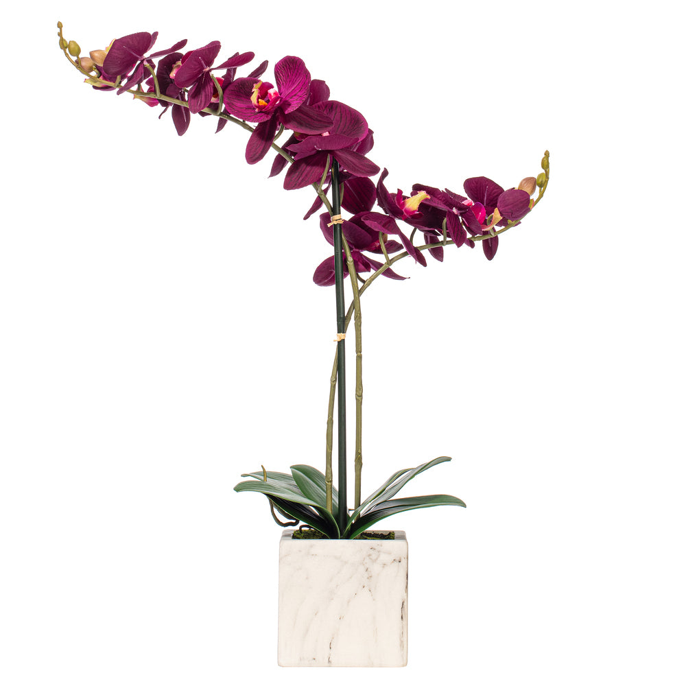22" Artificial Potted Real Touch Dark Purple Phalaenopsis Spray