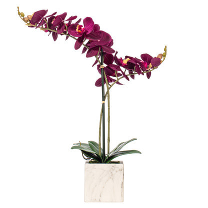 22" Artificial Potted Real Touch Dark Purple Phalaenopsis Spray