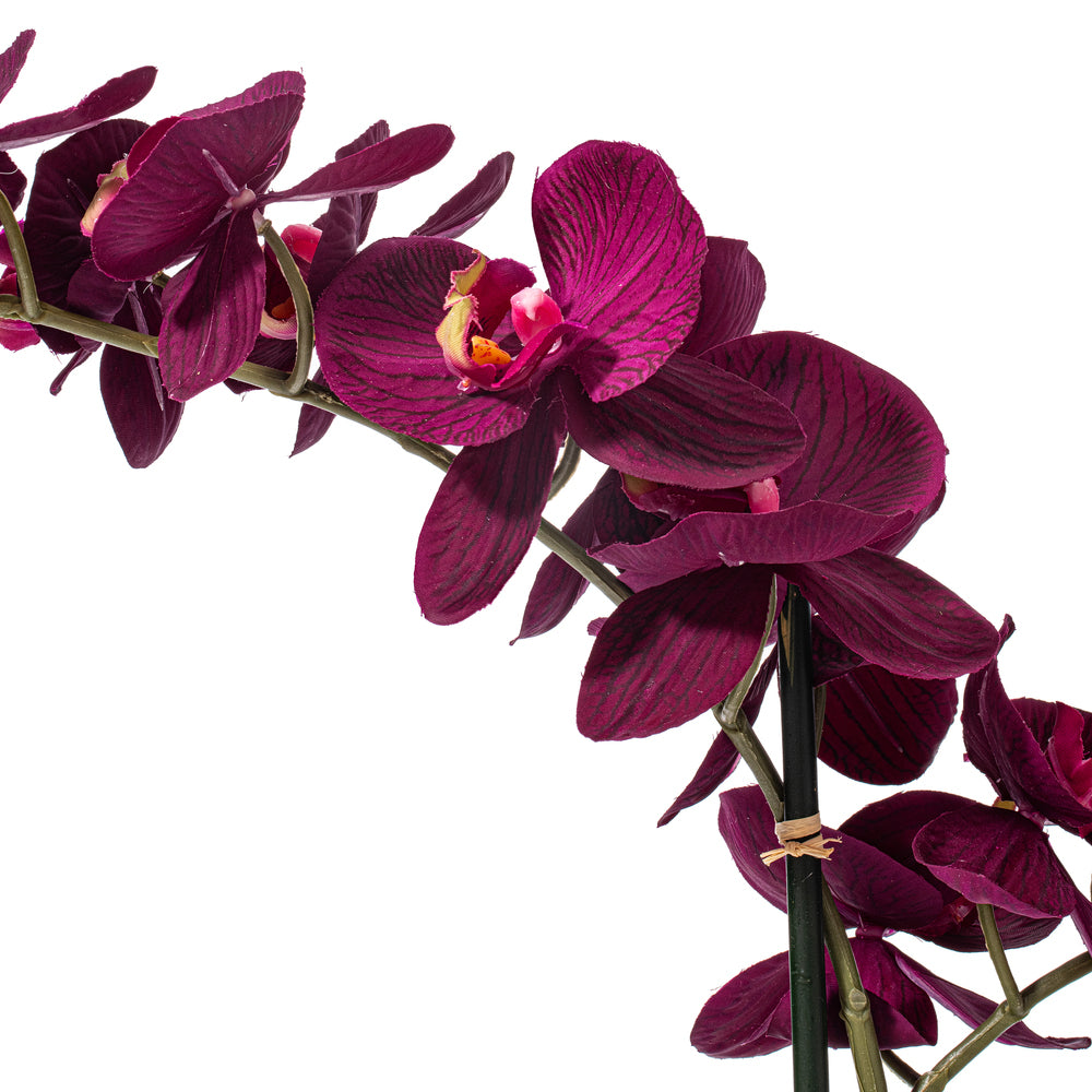 22" Artificial Potted Real Touch Dark Purple Phalaenopsis Spray