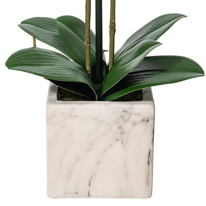 22" Artificial Potted Real Touch Dark Purple Phalaenopsis Spray