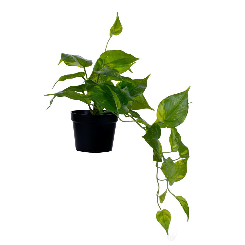 20" Artificial Green Potted Pothos Plant. Maintenance free