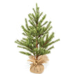 Bristle Country Pine Tree in Burlap Base