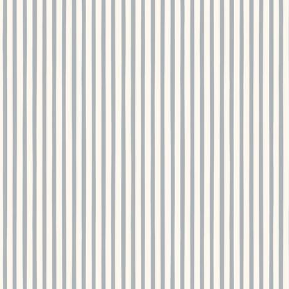 Finn Stripe in French Blue
