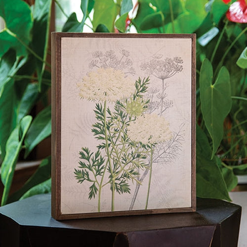 Queen Anne's Lace & Dill Botanical Box Sign