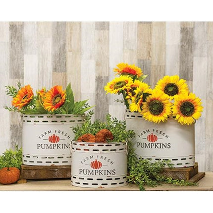 3/Set, Farm Fresh Pumpkins Oval Buckets