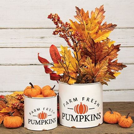 2/Set, Distressed Metal Farm Fresh Pumpkins Buckets