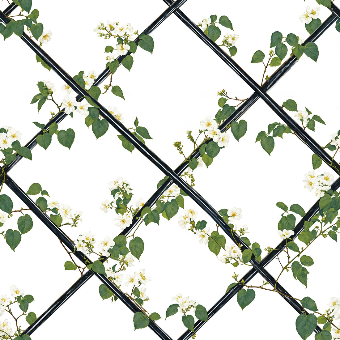Greenhouse Trellis (Pattern Edition) Wallpaper