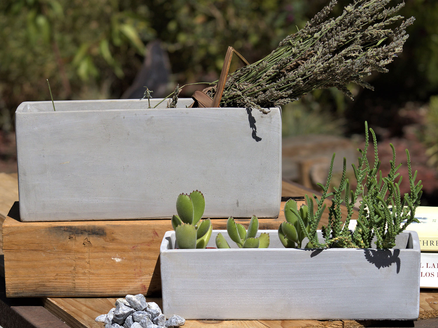 Low &amp; Mid Rectangular Concrete Planter By Plantatorem