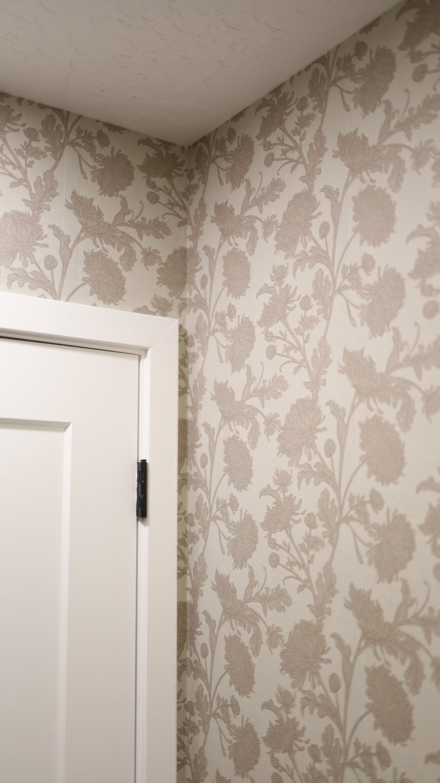 Archie Wallpaper by Taddy Mikelaites