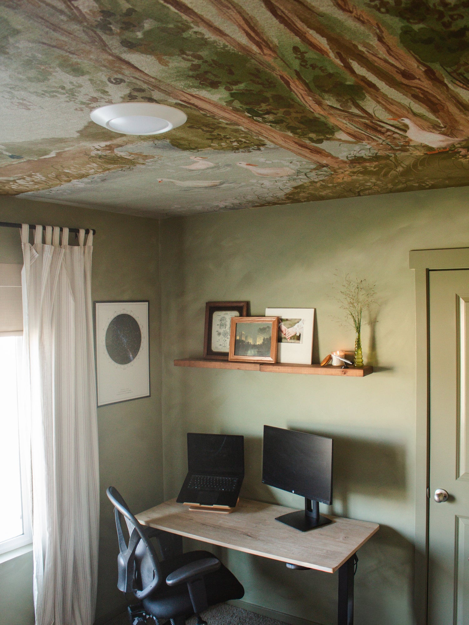 Nils Wallpaper by Celeste Clark