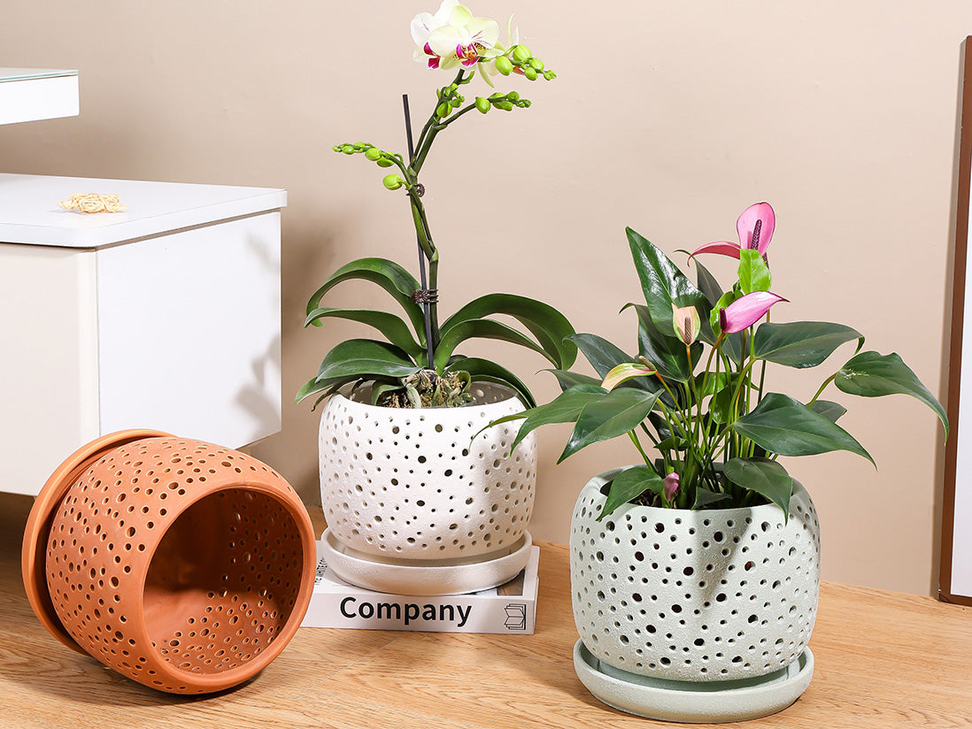 Rain Drop Orchid Planter-Sand By Plantatorem