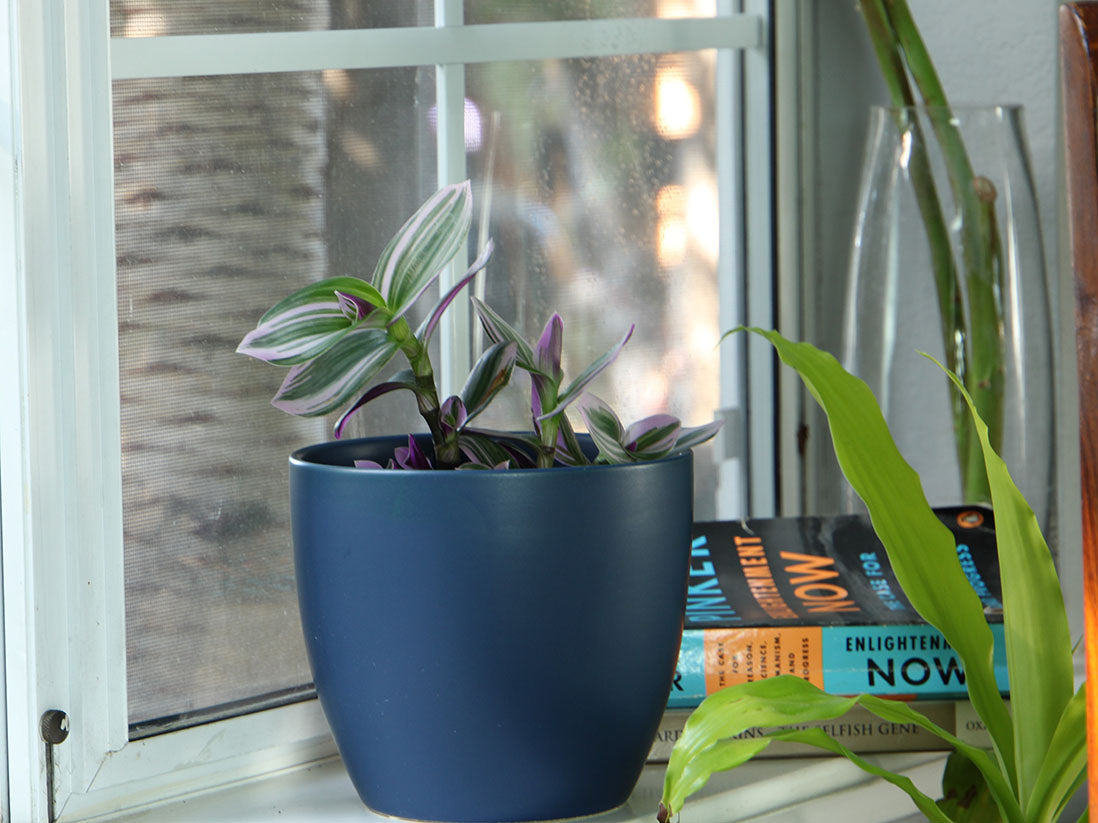 Peace Lily Cache Pot 10.0" D x 8.5" H By Plantatorem