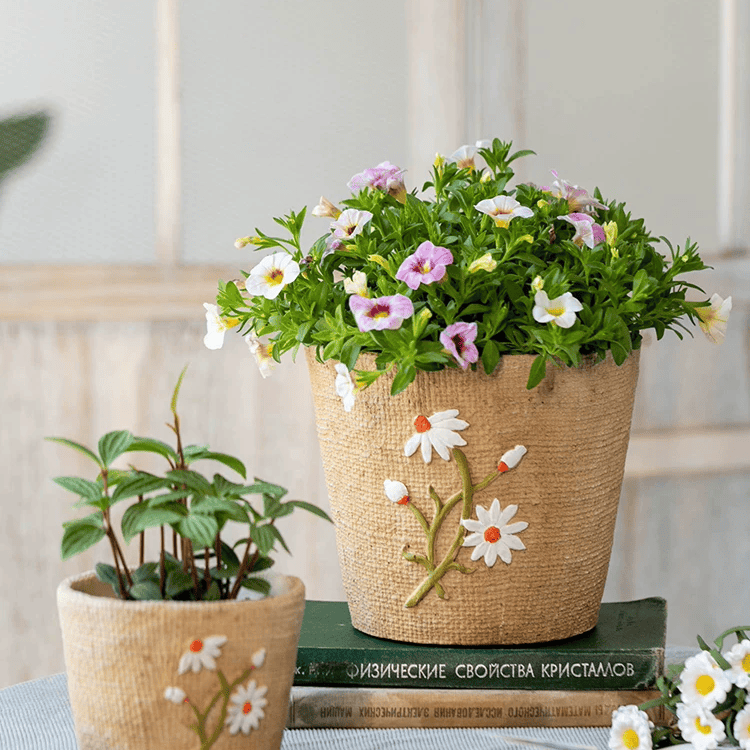 Daisy Garden Cement Planter