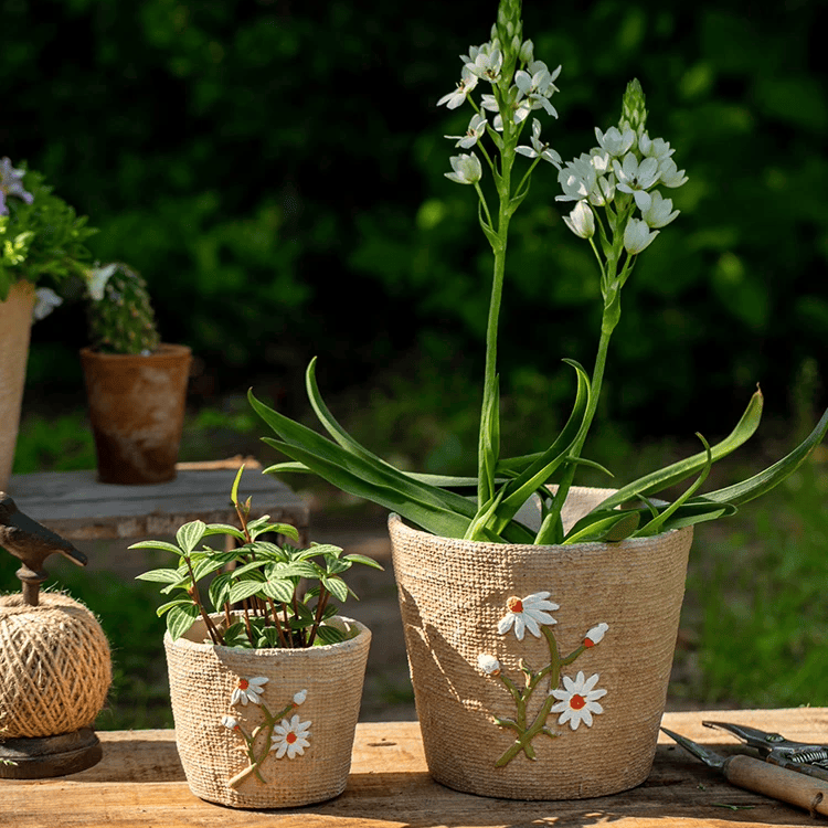Daisy Garden Cement Planter