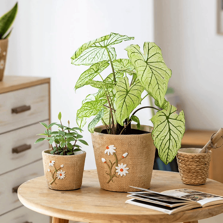 Daisy Garden Cement Planter