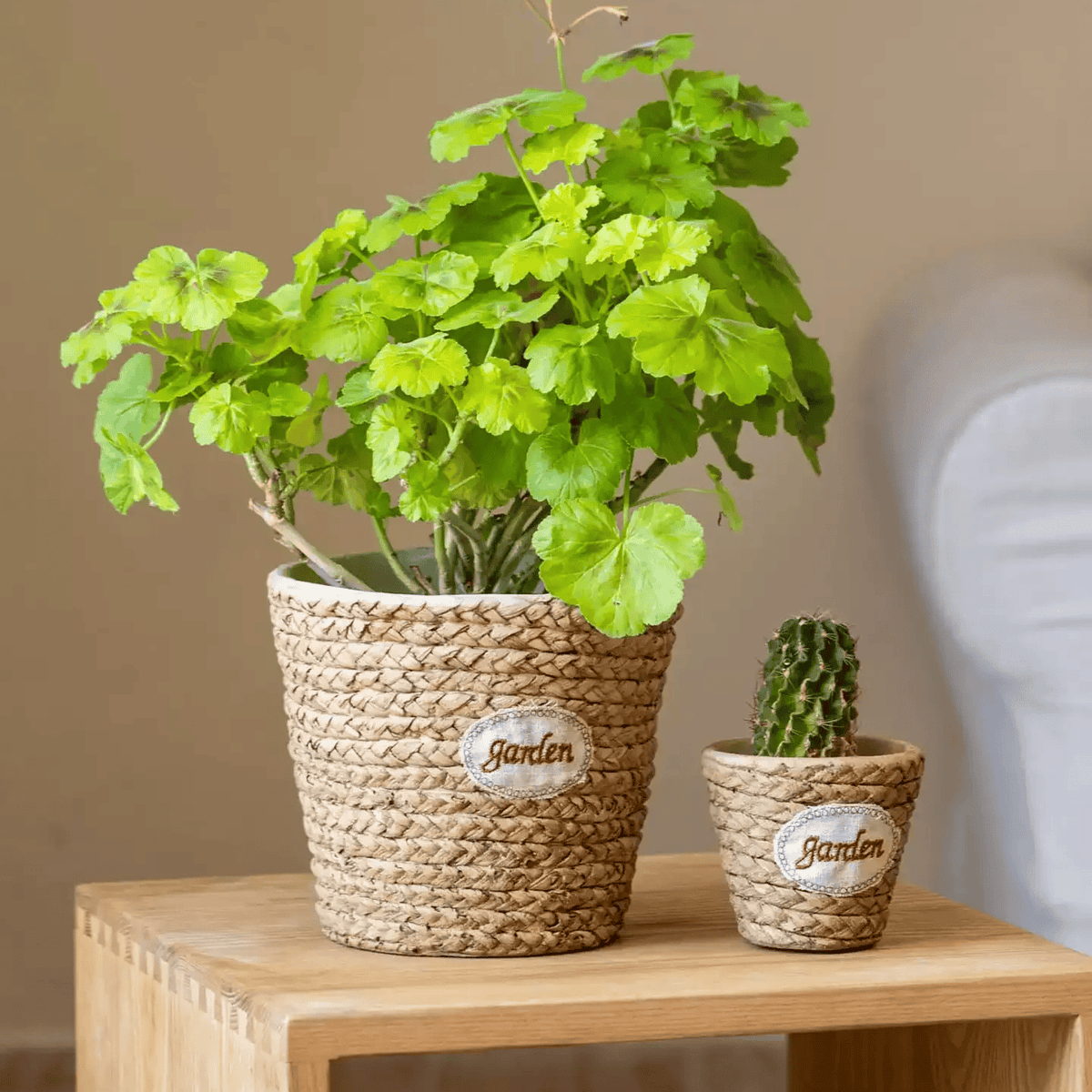 Garden Basket Cement Planter