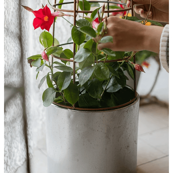 Metal Obelisk Trellis Planter