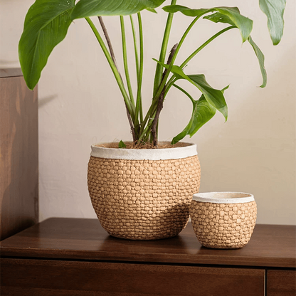 Woven Rattan Cement Planter