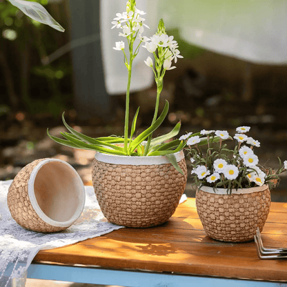 Woven Rattan Cement Planter
